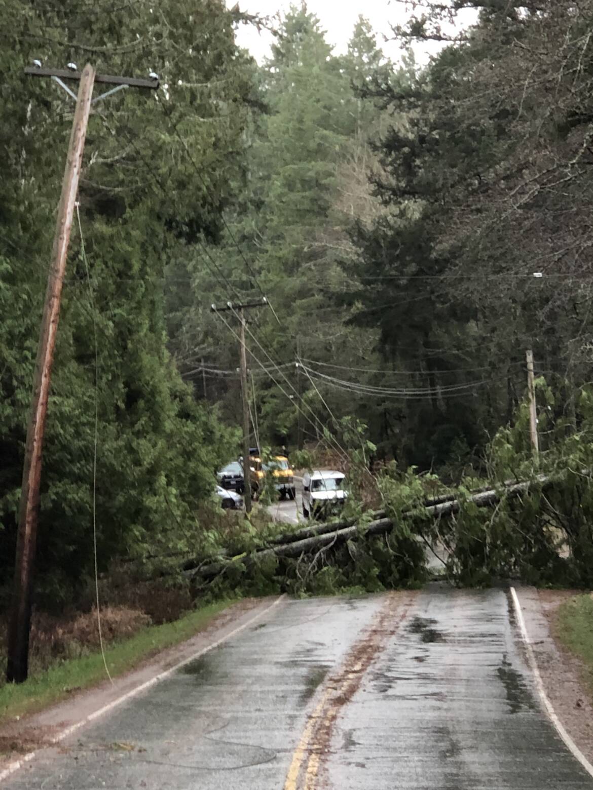 Storm-Dec-2018.jpeg