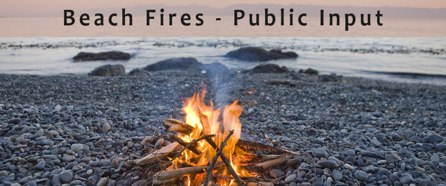 Beach-Fires-Public-Input.jpg