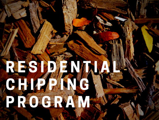 CHIPPING-PROGRAM4.png