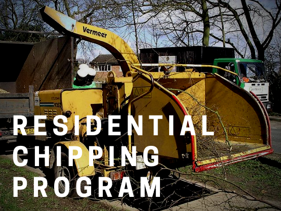 CHIPPING-PROGRAM5.png