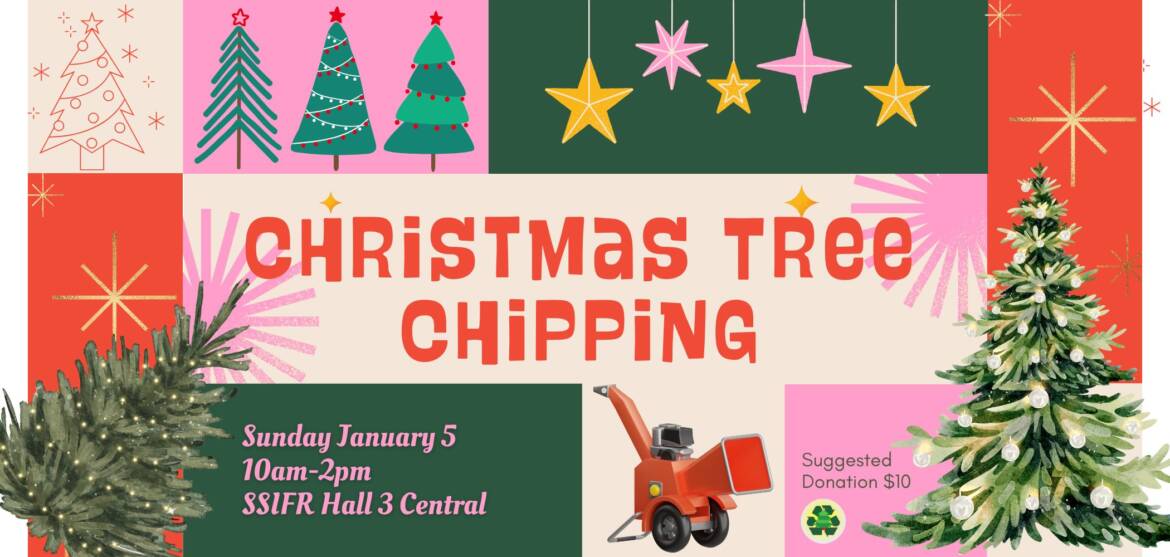 Christmas-Tree-Chipping.jpg