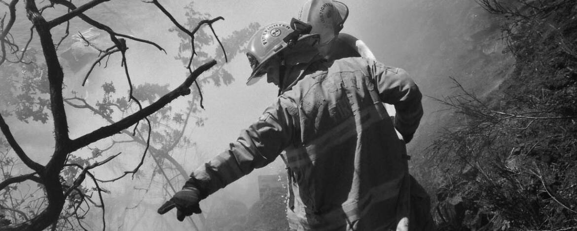 wildfire-cropped.jpg
